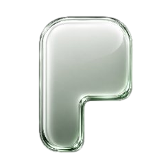 pons